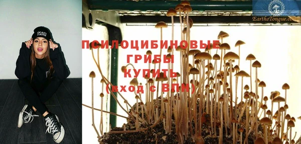 метадон Александровское