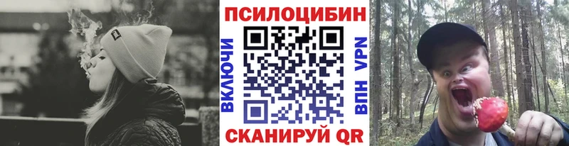 Галлюциногенные грибы прущие грибы  Краснознаменск 