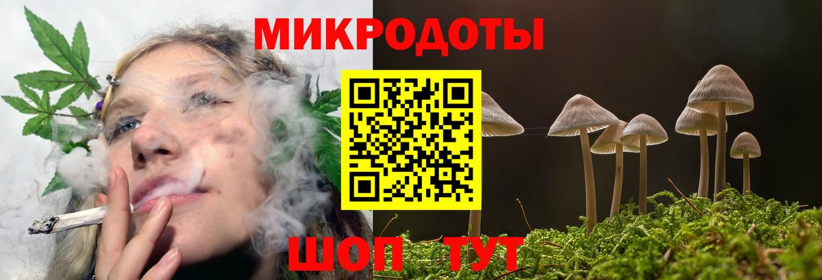 Краснознаменск  Псилоцибиновые грибы мухоморы  Вход с VPN 